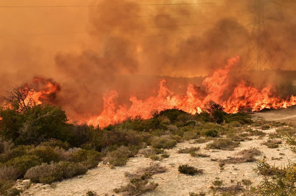 Προειδοποιούν Τμ. Δασών και Πυροσβεστική λόγω καύσωνα