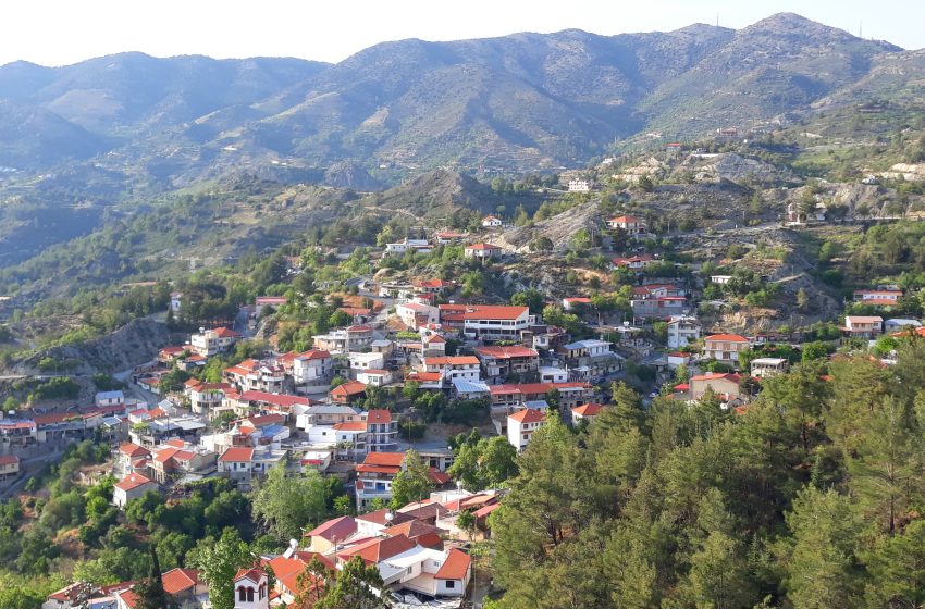  Σημείο Θέας – Αγρίδια