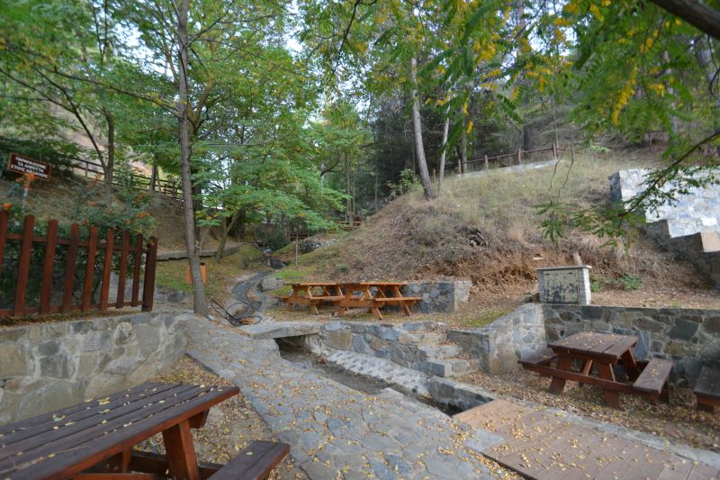  Εκδρομικός Χώρος – Αγρίδια