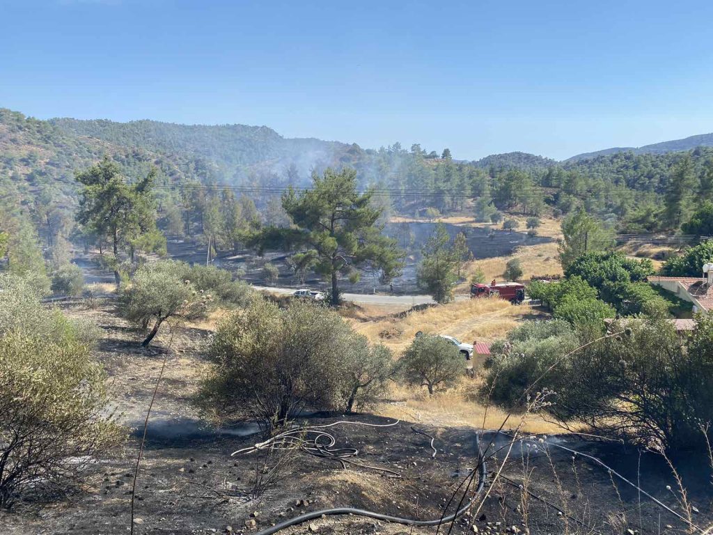 Υπό μερικό έλεγχο η δασική πυρκαγιά στον Άγιο Μάμα