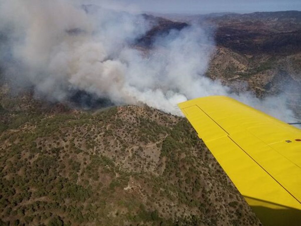 Το «ευχαριστώ» του Υπ. Γεωργίας για την πυρκαγιά στον Αγ. Μάμα