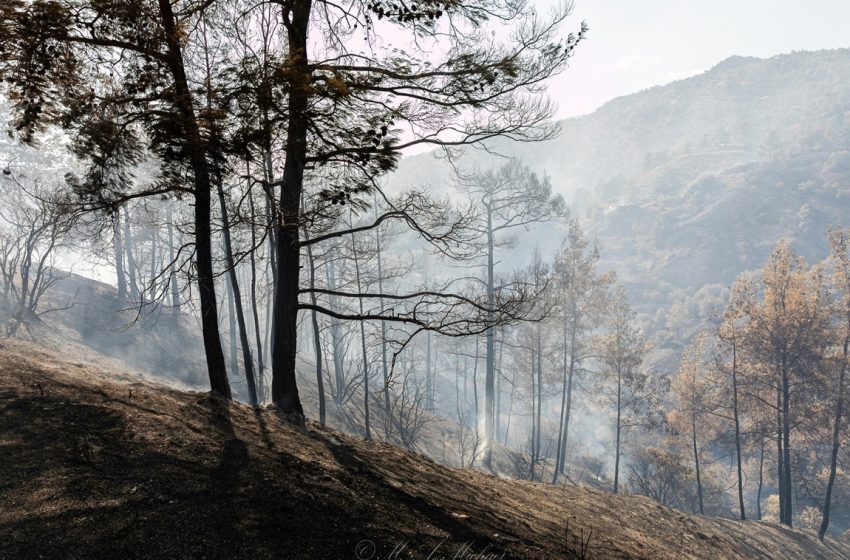  Υπό πλήρη έλεγχο η φωτιά στον Άγιο Μάμα – Συμμετείχαν πάνω από 200 πυροσβέστες
