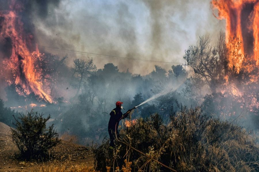 Επιστρέφει η κυπριακή αποστολή του Τμήματος Δασών από την Ελλάδα