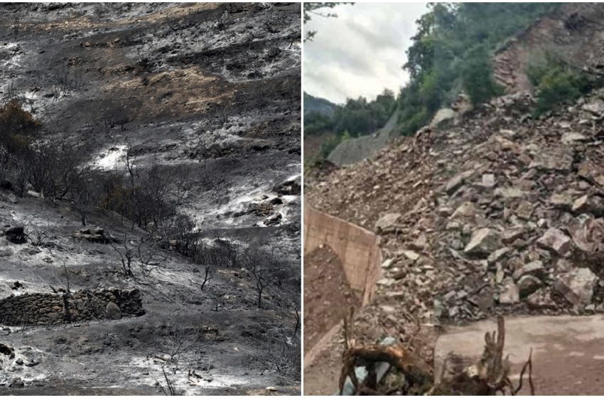  Επικίνδυνα σημεία στον δρόμο Λεμεσού-Αγρού μετά την μεγάλη πυρκαγιά – Η απάντηση στο Pitsilia Daily