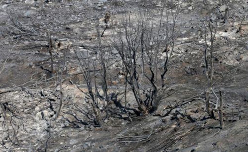 Υπό πλήρη έλεγχο η φωτιά στον Λιμνάτη