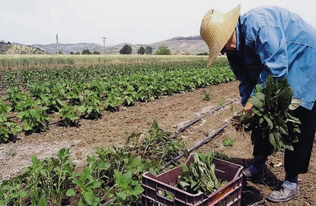 «Τεράστιας σημασίας η ανάδειξη της γυναίκας της υπαίθρου» είπε η Επίτροπος Χριστοδούλου