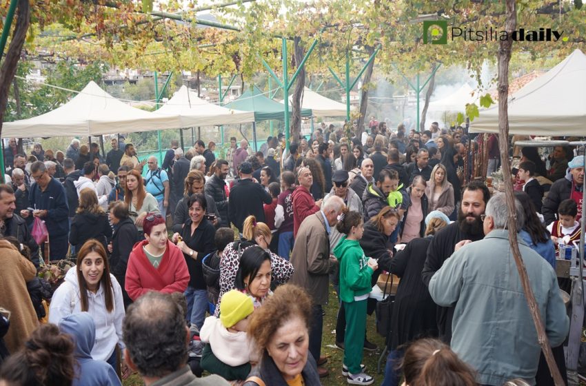  Φεστιβάλ στην Πλατανιστάσα 19 Νοεμβρίου 2023