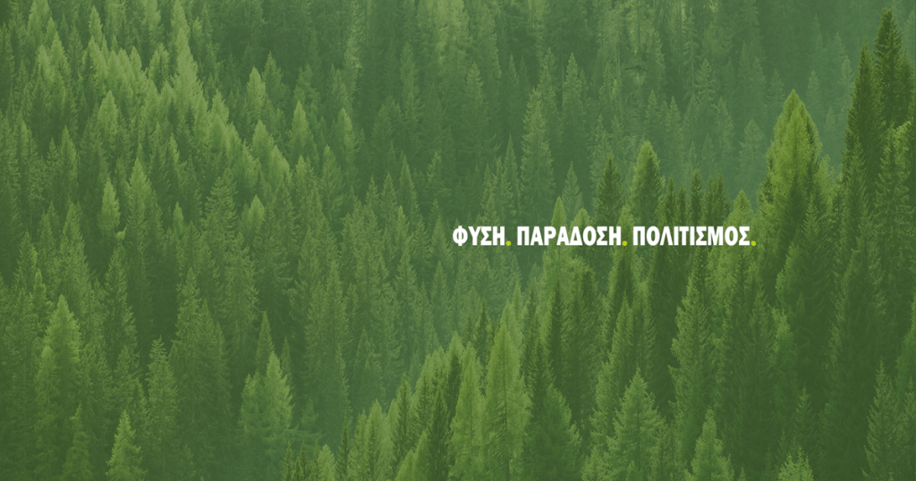 Οι εκδηλώσεις του τριημέρου στην Πιτσιλιά!