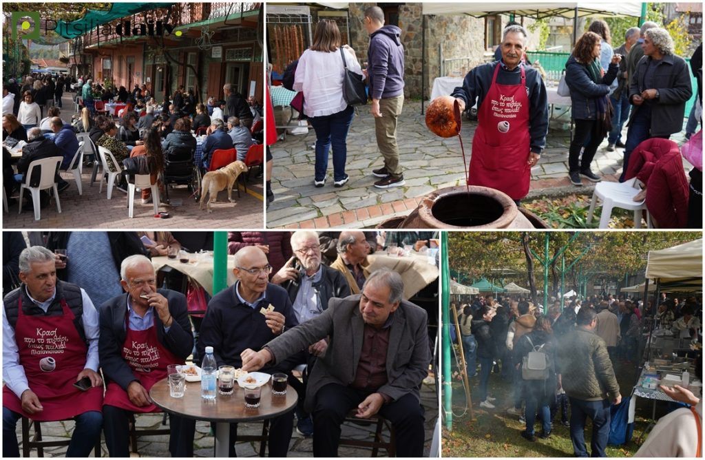 Παρά το κρύο, όλοι πήγαν στο Φεστιβάλ Πλατανιστάσας (ΒΙΝΤΕΟ & ΦΩΤΟΣ)
