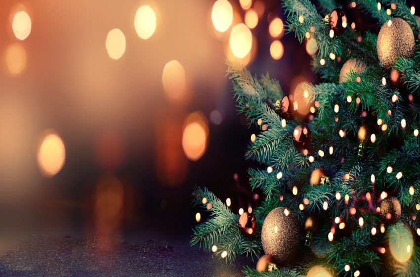  Η Φωταγώγηση του Χριστουγεννιάτικου Δέντρου στον Άγιο Κωνσταντίνο Πιτσιλιάς