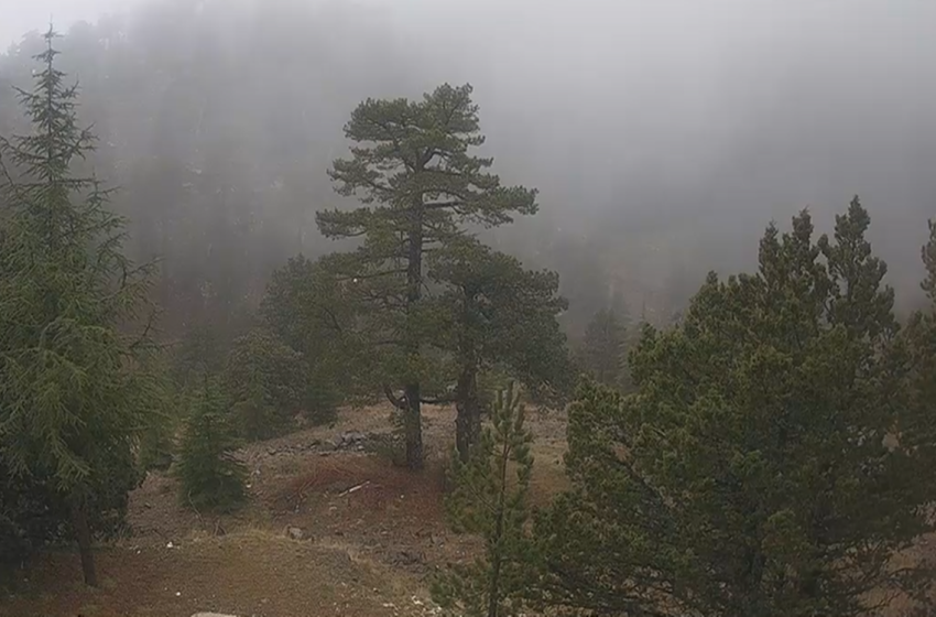  Live εικόνα από το Τρόοδος – «Έρχεται η πρώτη αξιόλογη χιονόπτωση»