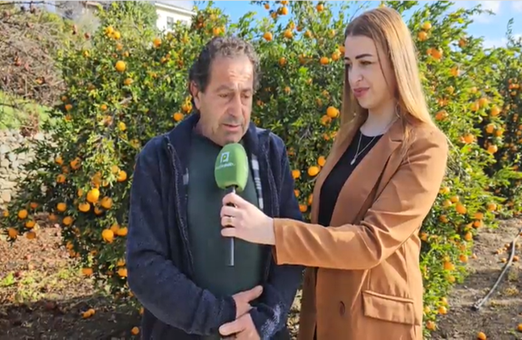 Πρωταγωνιστής… το Μανταρίνι! Ο Κοινοτάρχης μιλά για την πρώτη μεγάλη Γιορτή του Αρακαπά (ΒΙΝΤΕΟ)