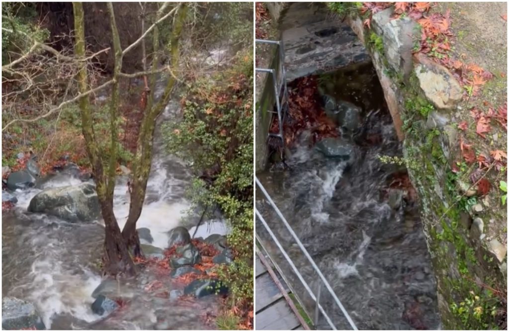 ΒΙΝΤΕΟ: Ασταμάτητα ρέει το νερό στο φράγμα του Ξυλιάτου