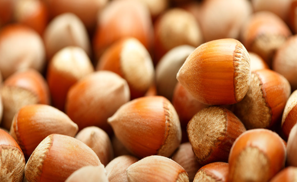 Έρχεται και φέτος η Γιορτή της Φουντουκιάς στην Πλατανιστάσα – Όλες οι πληροφορίες