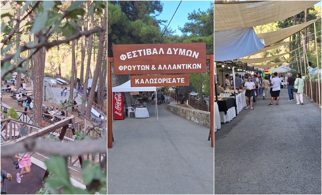 Ολοκληρώθηκε άλλο ένα Φεστιβάλ Φρούτων και Αλλαντικών στις Δύμες (ΦΩΤΟΣ)