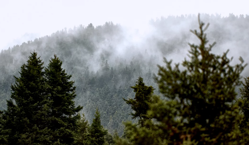 Έρχεται νέο κύμα ψύχους με βροχές και καταιγίδες – Δεν αποκλείεται εκ νέου χιόνι στα ορεινά