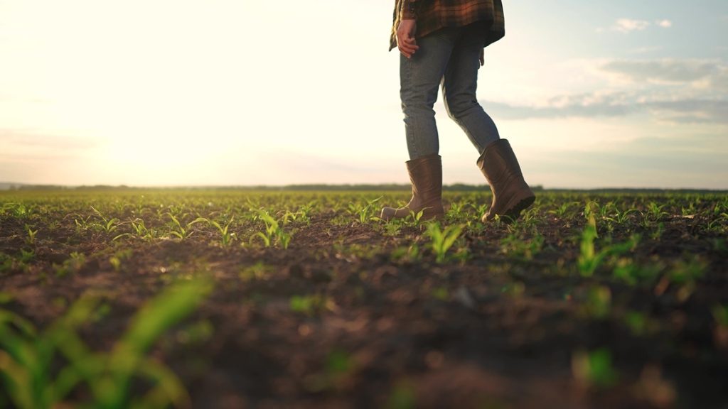 «Τα TIPS του γεωργού»: Μία νέα εκπομπή εγκαινιάζει το Pitsilia Daily!