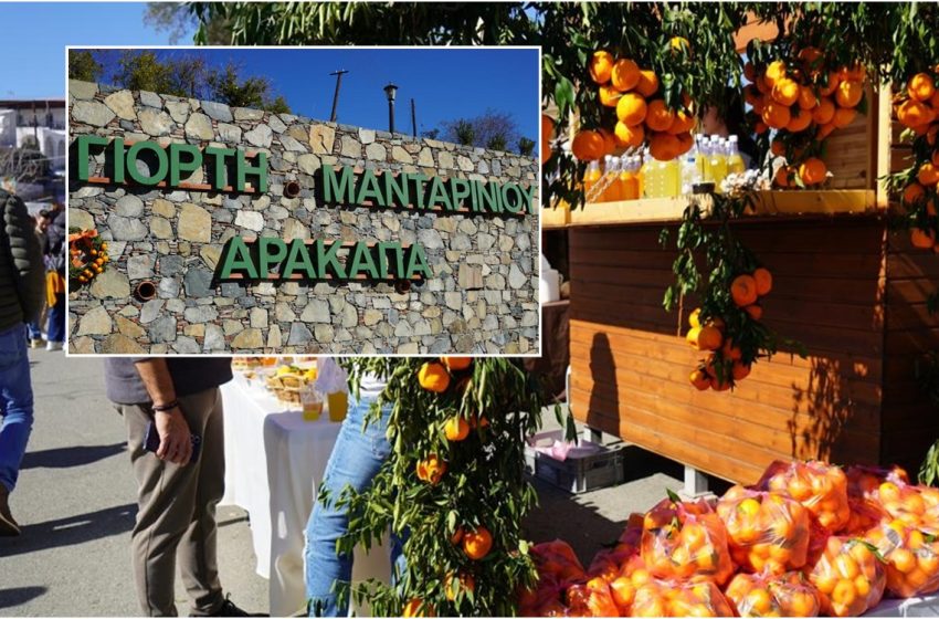  Ετοιμαστείτε για την 3η Γιορτή του Μανταρινιού στον Αρακαπά!