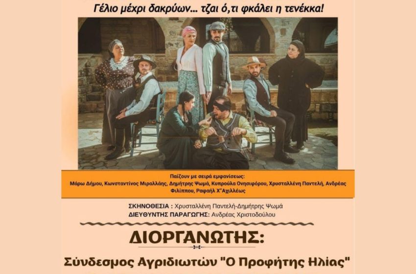  Θεατρική παράσταση – Αγρίδια
