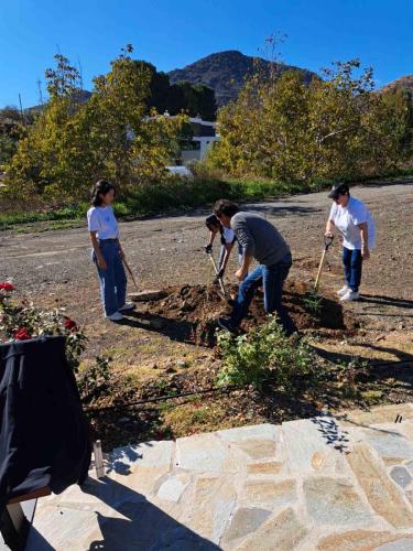 εικόνα_Viber_2023-11-23_12-31-01-422