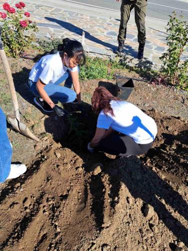 εικόνα_Viber_2023-11-23_12-31-01-909