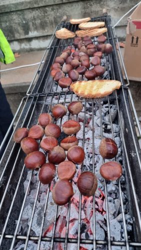 594074818 24473067869034324 2741456351029527449 n