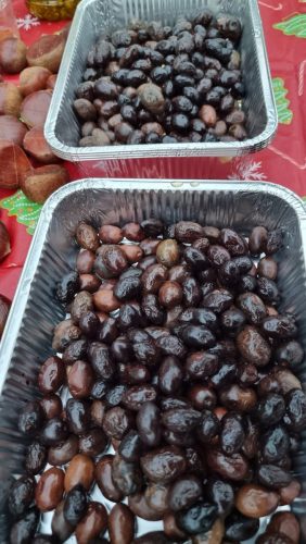 595159886 24473073835700394 9020726697029890241 n