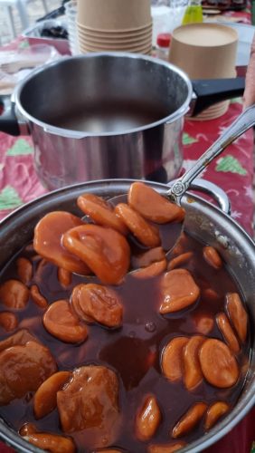 595174751 24473075342366910 6733905618156508400 n