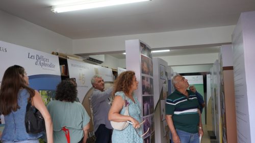 DSC02175 (1)