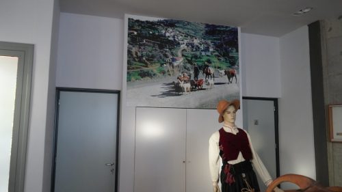 DSC02307