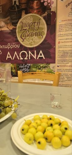 εικόνα Viber 2026-10-21 13-17-01-980