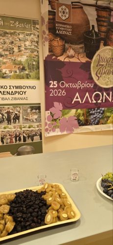 εικόνα Viber 2026-10-21 13-20-16-959